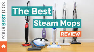 best steam mop review you