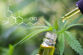 It is one of 113 identified cannabinoids in cannabis plants, along with tetrahydrocannabinol (thc). Cannabidiol Rechtlicher Status Von Cbd Produkten Weiterhin Unklar Pz Pharmazeutische Zeitung