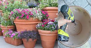 How To Plant Flower In Pots Without