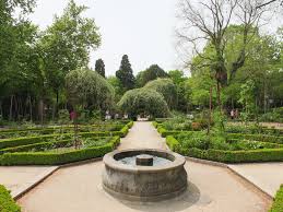 royal botanic garden real jardín