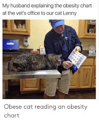 My Husband Explaining The Obesity Chart At The Vets Office