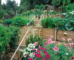 hillside terrace gardens grown by you