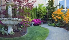evergreen trees for small gardens