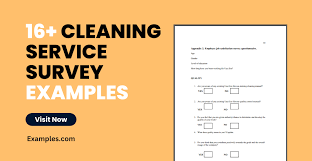 cleaning service survey 16 exles