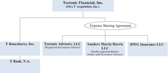 Tectonic Financial Inc Prospectus 424b4