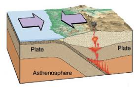 This is the earth's crust and the upper part of the mantle. Plate Tectonics Gizmo Flashcards Quizlet