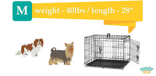 Choosing The Right Dog Crate Size The Definitive Guide