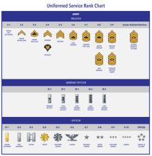 military ranks and insignia charts
