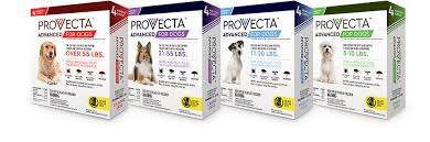 Provecta Pet For Veterinarians The Power To Provide