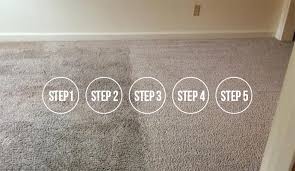 carpet cleaning for mold and mildew in
