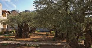prayer from the garden of gethsemane