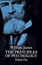 Book cover for <p>Principles of Psychology</p>
