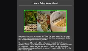 !ujuan dari praktikum budidaya maggot adalah 1.powerful i plattform application from bsf indonesia colony. Budidaya Maggot For Android Apk Download
