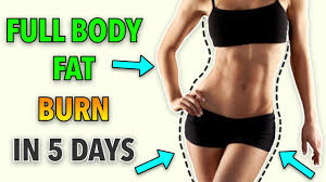 5 day full body fat burn workout
