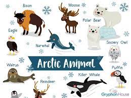 Looking for some science activities for preschoolers? Arctic Animals Lesson Plan