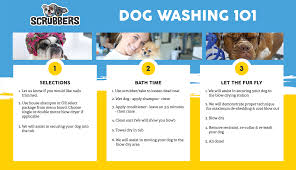 I'd rather just directly buy it. Do It Yourself Dog Wash Self Serve Dog Grooming