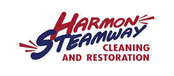 best carpet cleaner harmon steamway
