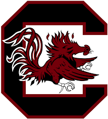 2019 South Carolina Gamecocks Football Team Wikipedia