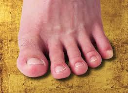 toes foot doctor podiatrist