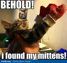behold-i-found-my-mittens-cat-meme.jpg via Relatably.com
