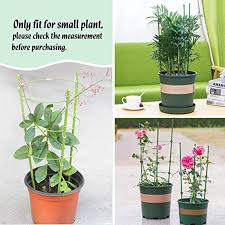 324 plant support ring adjustable