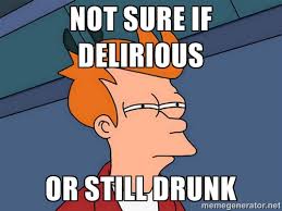 NOT SURE IF DELIRIOUS OR STILL DRUNK - Futurama Fry | Meme Generator via Relatably.com