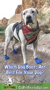 which dog boots are best for your dog