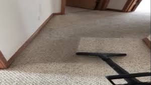 a clean carpet company whidbey island