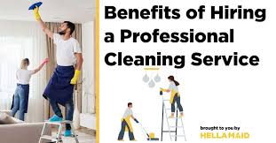 Professional Cleaning Services For