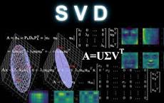 What is the importance of SVD?