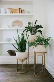 impressive indoor plants decor ideas