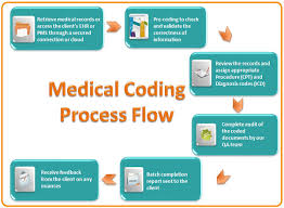 Provide Medical Coding Services With Cpc Compliance By