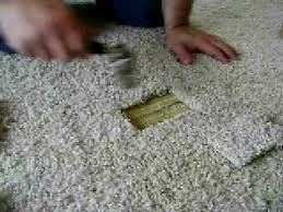 carpet repair aaaction restoration