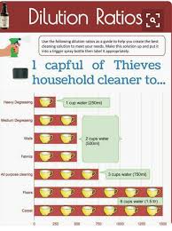 Thieves Cleaner Dilution Ratios Essential Oils Cleaning