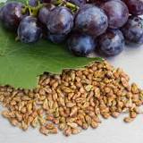 ¿Cómo se deben consumir las semillas de uva?