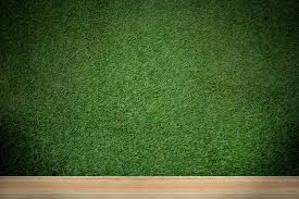Grass Wall Backdrop Images Free