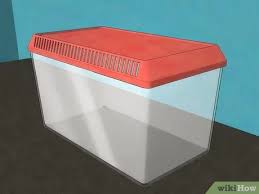He gets an odd request from his wife, but he manages to build the perfect solution! 3 Ways To Make A Caterpillar Habitat Wikihow