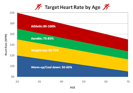Exercise And Target Heart Rate Marcus Tams Fitness