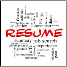 What Should Professional Resume Writing Services Cost  Work It Daily