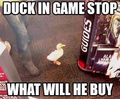 Submitted 8 months ago by furryfrollicker. Duck In Game Stop X In The Y What Will He Do Know Your Meme