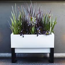 urban garden self watering planter