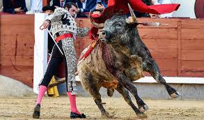 Los festejos que dejará de torear Emilio de Justo por su percance en Las  Ventas - Toros - COPE