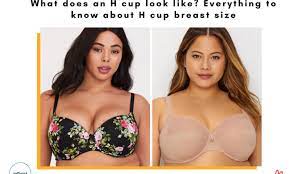 Double h breast