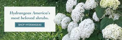 Spring Hill Nurseries Find Your