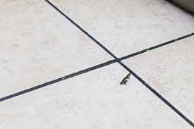 reasons for ed floor and wall tile