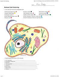 Students learn the structures found in a plant cell by coloring them according to directions. Biologycorner Com Animal Cell Coloring Through The Thousands Of Photos On The Internet With Reg Animal Cells Worksheet Plant And Animal Cells Cells Worksheet