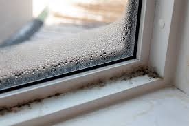 exterior mold prevention on windows