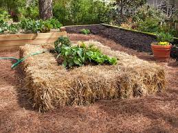 straw bale gardening tips