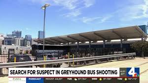 greyhound responds to fatal shooting on bus