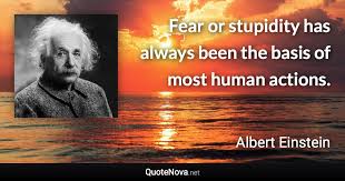Explore 191 stupidity quotes by authors including albert einstein, robert a. Fear Or Stupidity Has Always Been The Basis Of Most Human Actions